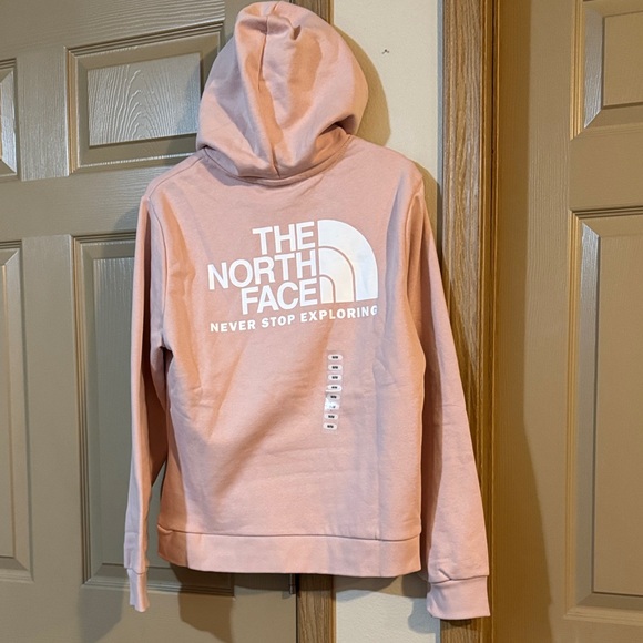 NWT - The North Face Light Pink Pullover Hoodie - Evo Throwback Pink Moss - Picture 4 of 6